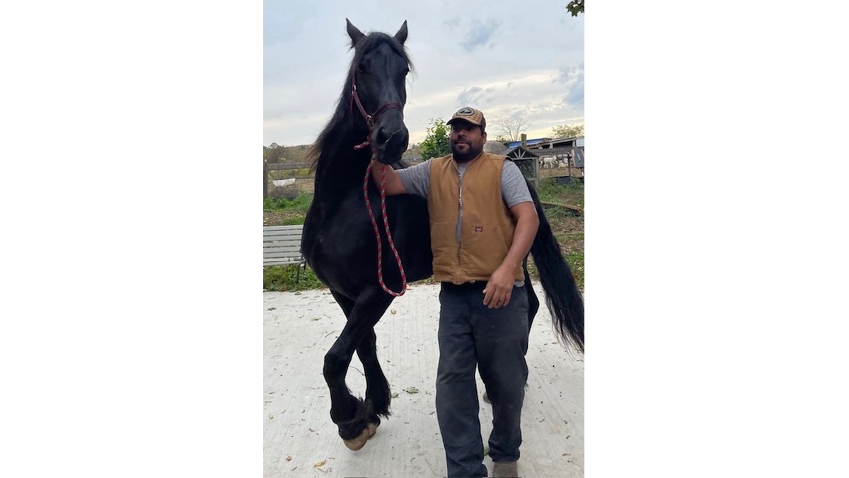 Nicolas Castaneda Escovar