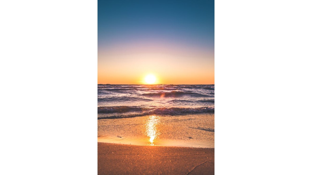 Christopher Albert Suler