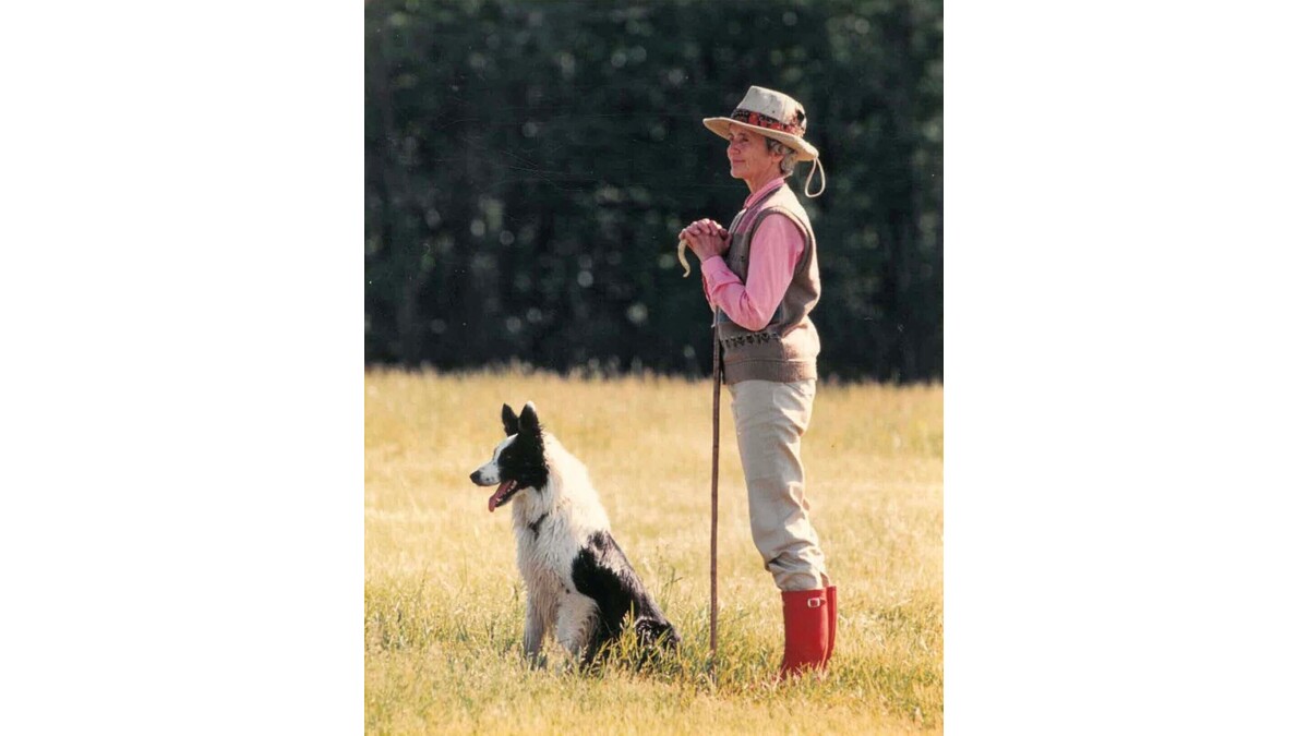 Sally Lacy Obituary, Essex Junction, VT