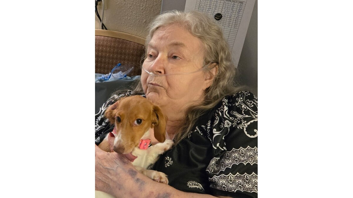 Helen Earley Obituary, New Martinsville, WV