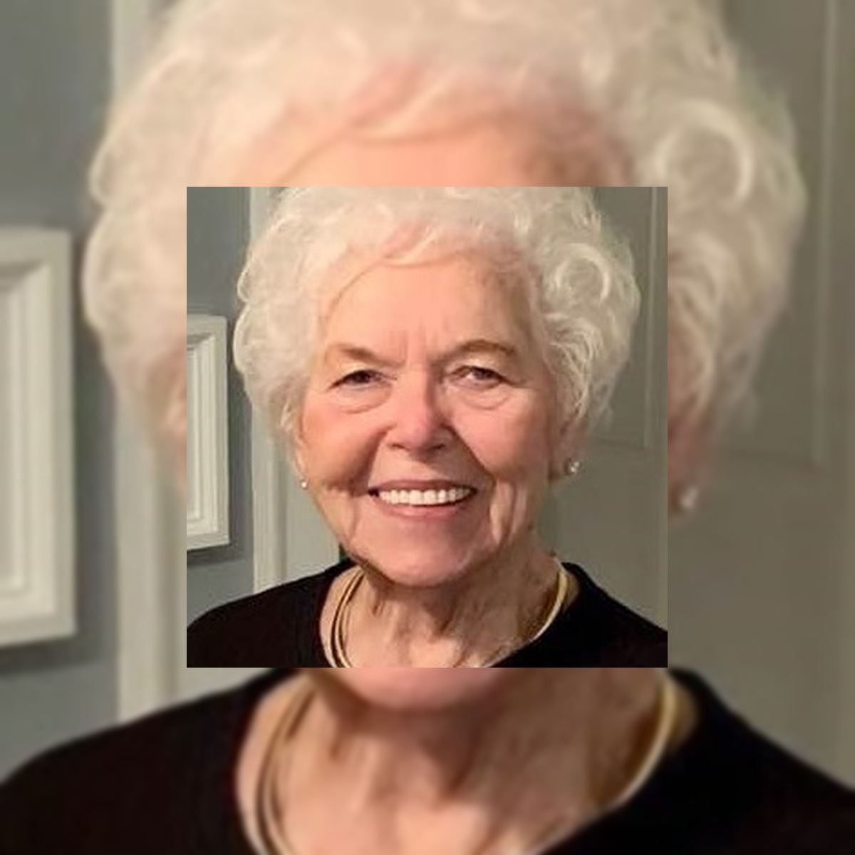 Patricia Anderson Obituary MANASQUAN, NJ | Orender Family The Death We Share (Patricia Delaney