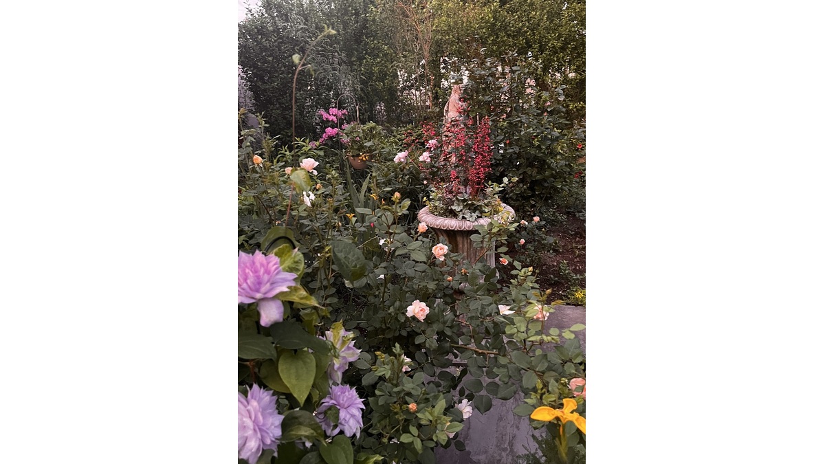 Stephen Bolling Obituary, Doylestown, PA