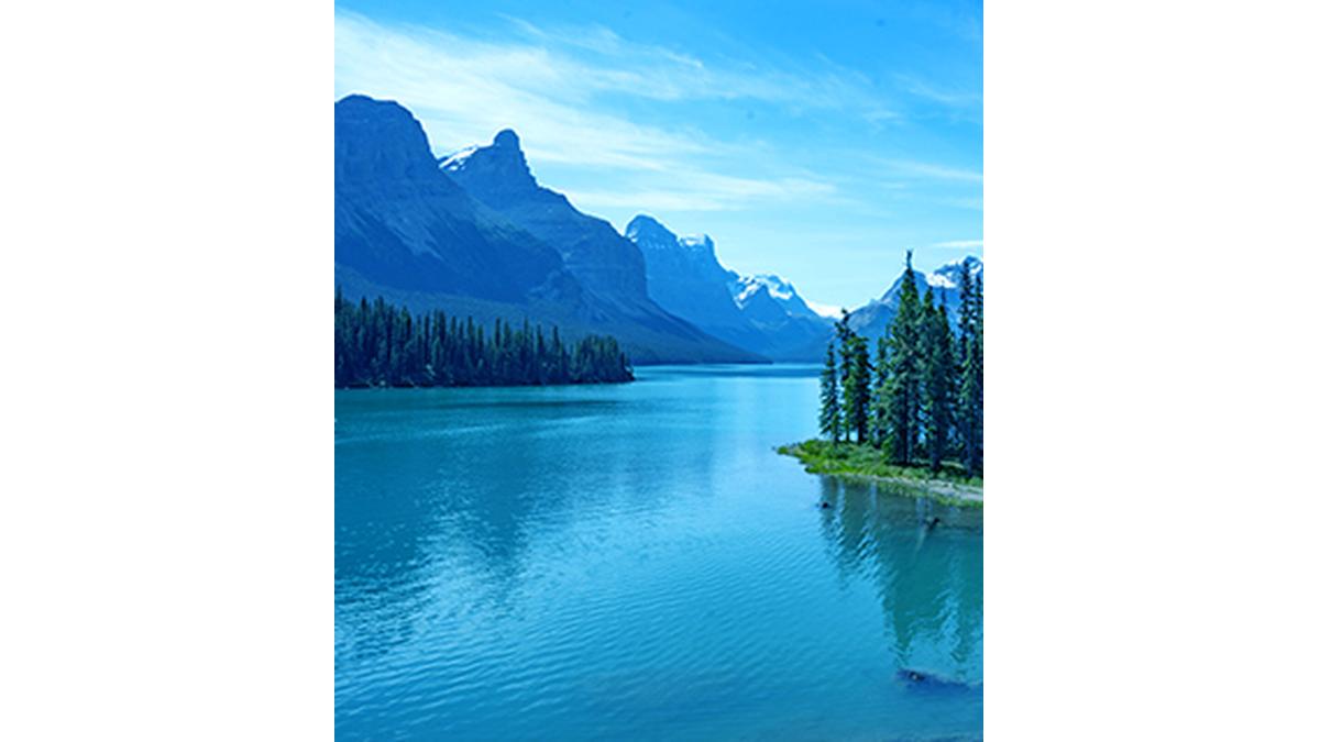 Victor Polakoff Montclair, NJ Obituary