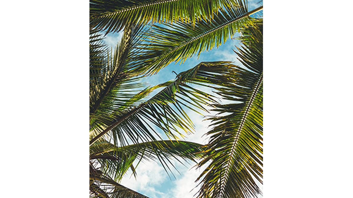 Linda Dunbar Obituary, Aberdeen, WA